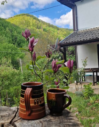 Напитка и гледка - елексир по всяко време